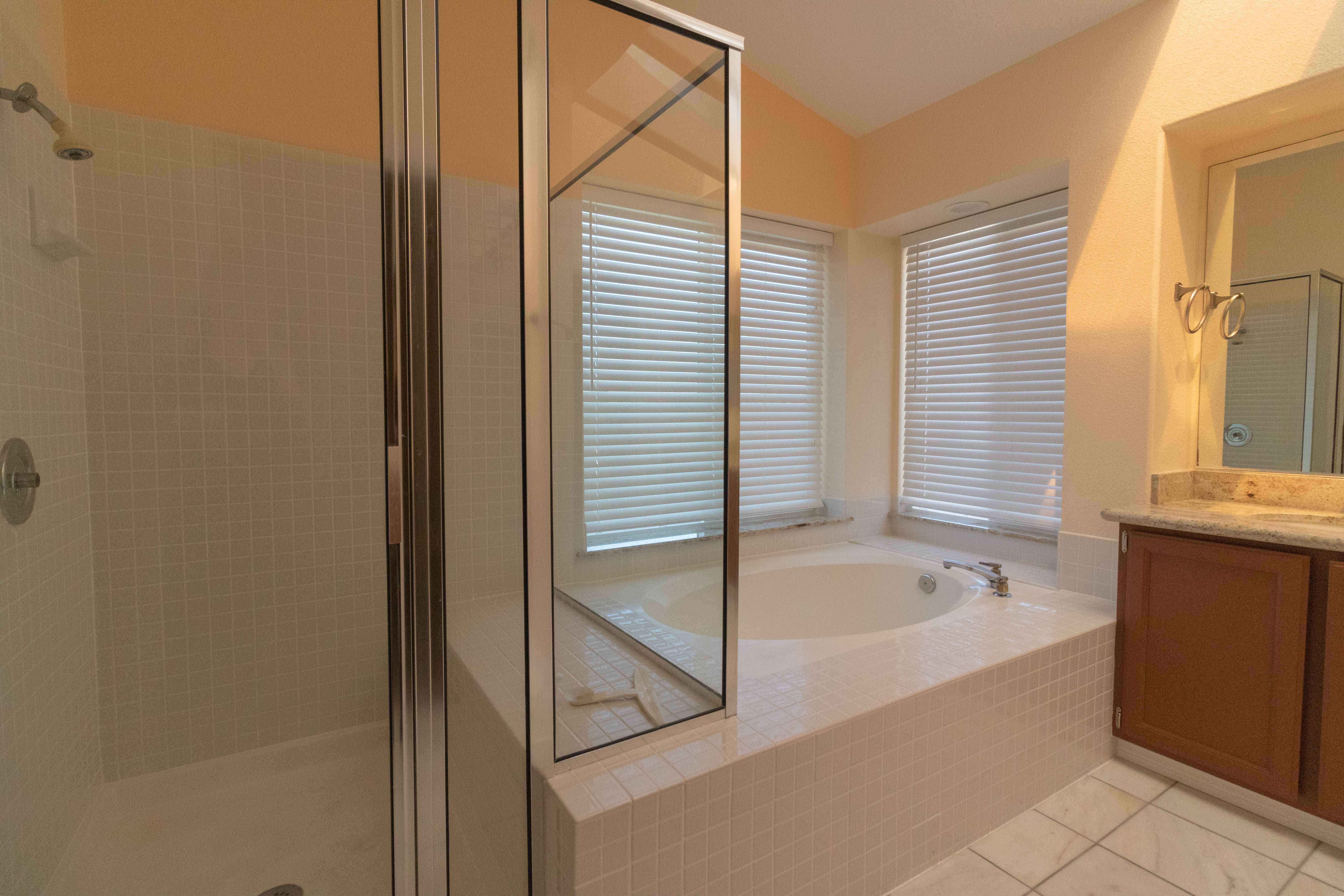 Master bathroom glass shower enclosure and soaking tub side by side with granite vanity